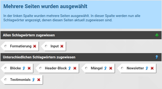 Mittlere Ansicht der Schlagwortverwaltung, wenn mehrere Seiten ausgewählt wurden.